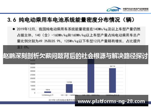 赵鹏深刻剖析欠薪问题背后的社会根源与解决路径探讨 赵鹏深刻剖析欠薪问题背后的社会根源与解决路径探讨