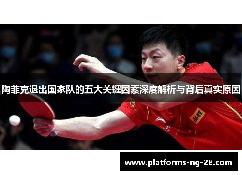 陶菲克退出国家队的五大关键因素深度解析与背后真实原因