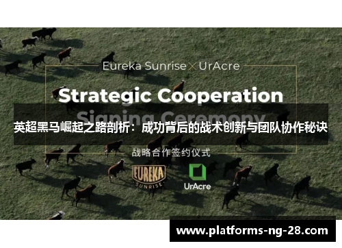 英超黑马崛起之路剖析：成功背后的战术创新与团队协作秘诀