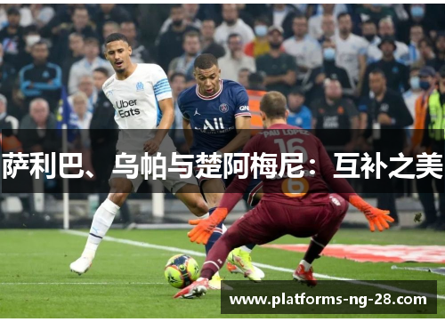 萨利巴、乌帕与楚阿梅尼：互补之美