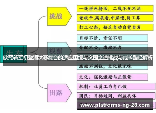 欧冠新军初登淘汰赛舞台的适应困境与突围之道挑战与成长路径解析