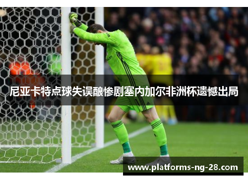 尼亚卡特点球失误酿惨剧塞内加尔非洲杯遗憾出局